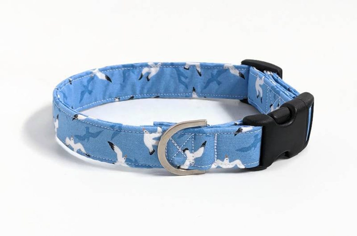 Seagull Dog Collar Boy Dog Collar Bird Dog Collar Girl Etsy UK