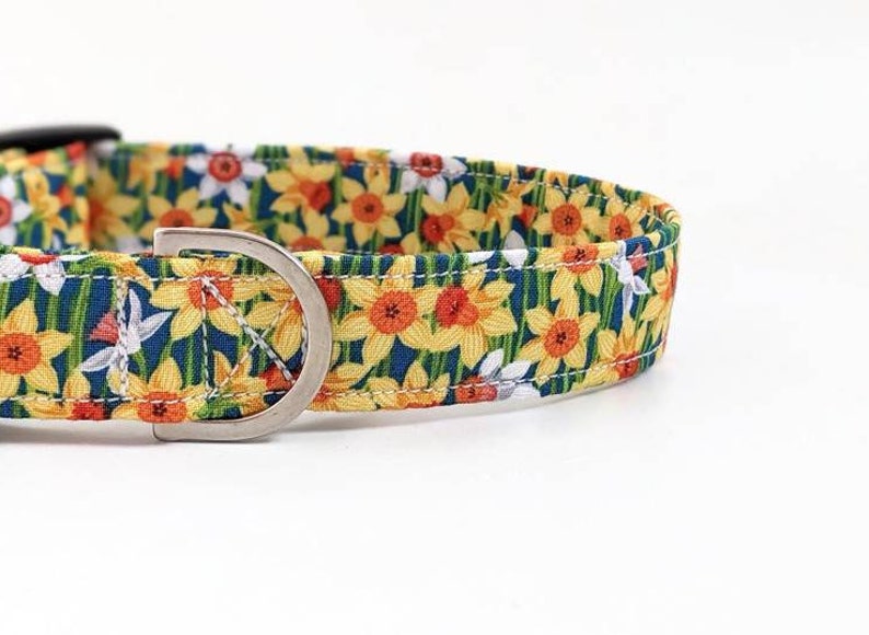 daffodil dog collar