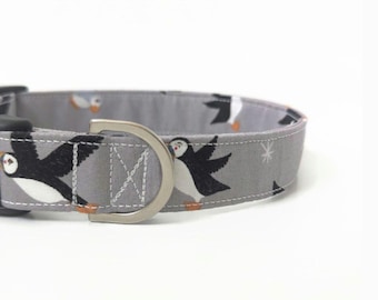 Puffin Dog Collar | Cute Dog Collar | Boy Dog Collar | Ocean Dog Collar | Male Dog Collar | Summer Dog Collar | Wolfheart Dog Collar