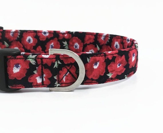 poppy dog collar and lead