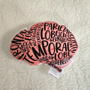 Peut inclure: Un oreiller en forme de cerveau blanc avec un contour rose et du texte noir. Le texte comprend les mots "Lobe Temporal", "Lobe Pariétal", "Lobe Occipital", "Aire de Broca", "Cortex Moteur", "Cortex Sensoriel", "Aire de Wernicke", "Cervelet", "Pont", "Tronc cérébral", et "Bulbe rachidien".