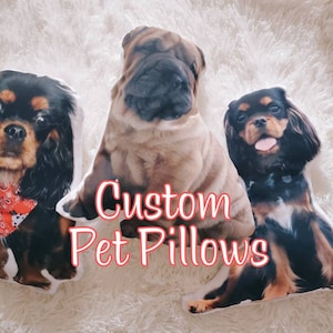 Custom Pet Pillow, 3D Cushion, Personalized Pet Cushion, Pet Memorial Gift, Stuffed Pet Cushion, Dog Cat Pillow