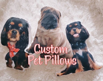 Custom Pet Pillow, 3D Cushion, EXPEDITED SHIPPING
