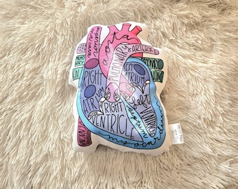Anatomical Heart Pillow, Doctor Office Decor, Science Gift