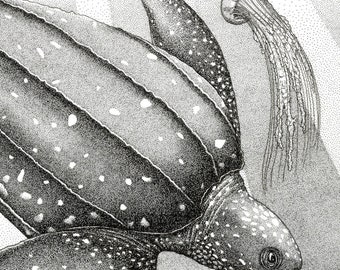 Leatherback - 11 x 14 - Art Print - Animal - Art - Ocean - Ink - Black and White - Turtle - Jellyfish - Sea - Marine - Medusa - Pointallism