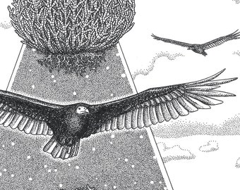 Between a Living and a Dying - 11 x 14 - Art Print - Art - Vulture - Botanical - Desert - Bird - Black and White - Resurrection Plant
