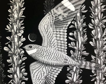 Threshold - 11 x 14 - Art Print - Bird - Nighthawk - Desert - Liminal - Black and White - Nighthawk - Moon - Southwest - Ocotillo - Plant