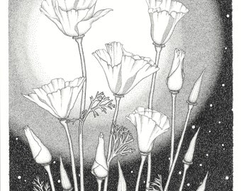 We Are Such Flowers - 11 x 14 - Art Print - Black and White - Flower - Poppy - Night - Desert - Oregon - Arizona - Ink - Moon - Sun - Stars