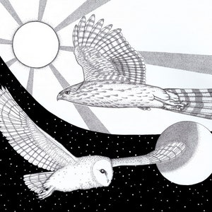 The Messengers - 11 x 14 - Kunstdruck - Tier - Kunst - Wüste - Arizona Kunst - Tinte - Schwarz und Weiß - Falke - Vogel - Eule - Sonne - Mond - Sterne