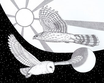 The Messengers - 11 x 14 - Art Print - Animal - Art - Desert - Arizona Art - Ink - Black and White - Hawk - Bird - Owl - Sun - Moon - Stars