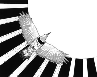 We Are the Sun - 11 x 14 - Art Print - Print - Art - Bird - Flicker - Woodpecker - Flying - Black and White - Illustration - Ink - Sun - Ant