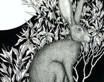 Rabbit Knows the Ground - 11 x 14 - Art Print - Art - Rabbit - Desert - Arizona - Black and White - Southwest - Moon - Sun - Bunny - Plants