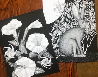 Any TWO 11 x 14 Art Prints at Reduced Price - Art - Prints - Reduced Price - Sale - Animal - Desert - Ocean - Plant - Flower - Saguaro