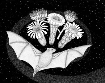 A Living Together - 11 x 14 - Art Print - Animal Art - Bat - Animal - Cactus - Flower - Arizona - Arizona Art - Saguaro - Desert - Ink