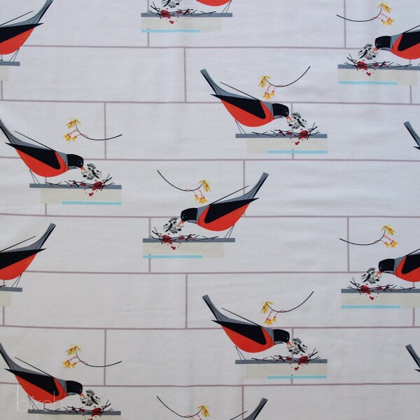 Charley Harper American Robin Half-Yard Organic Poplin Fabric