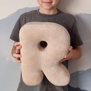 Almohada de terciopelo rosa personalizada (letra R) con bordado Rosy, juguete educativo, cojín con inicial, idea de regalo de cumpleaños, almohada con alfabeto.