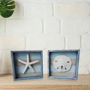 Peut inclure: Deux cadres carrés en bois avec des rayures bleues et grises. Le cadre de gauche présente une étoile de mer blanche, et le cadre de droite présente un dollar de sable blanc.