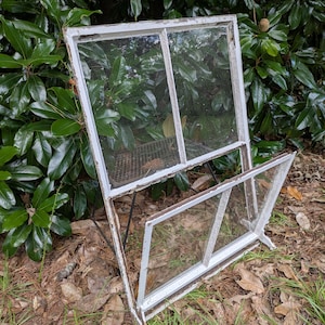 May include: An antique white metal and glass display shelf with a hinged door. The shelf has a wire mesh bottom and is set outdoors on a bed of leaves and grass, with a backdrop of green foliage.