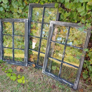 May include: Three black painted wood framed windows with multiple panes of glass. The windows are leaning against a wall of green ivy.