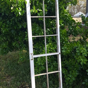 May include: White painted wooden window frame with nine panes of glass. The frame is leaning against a green bush and grass.