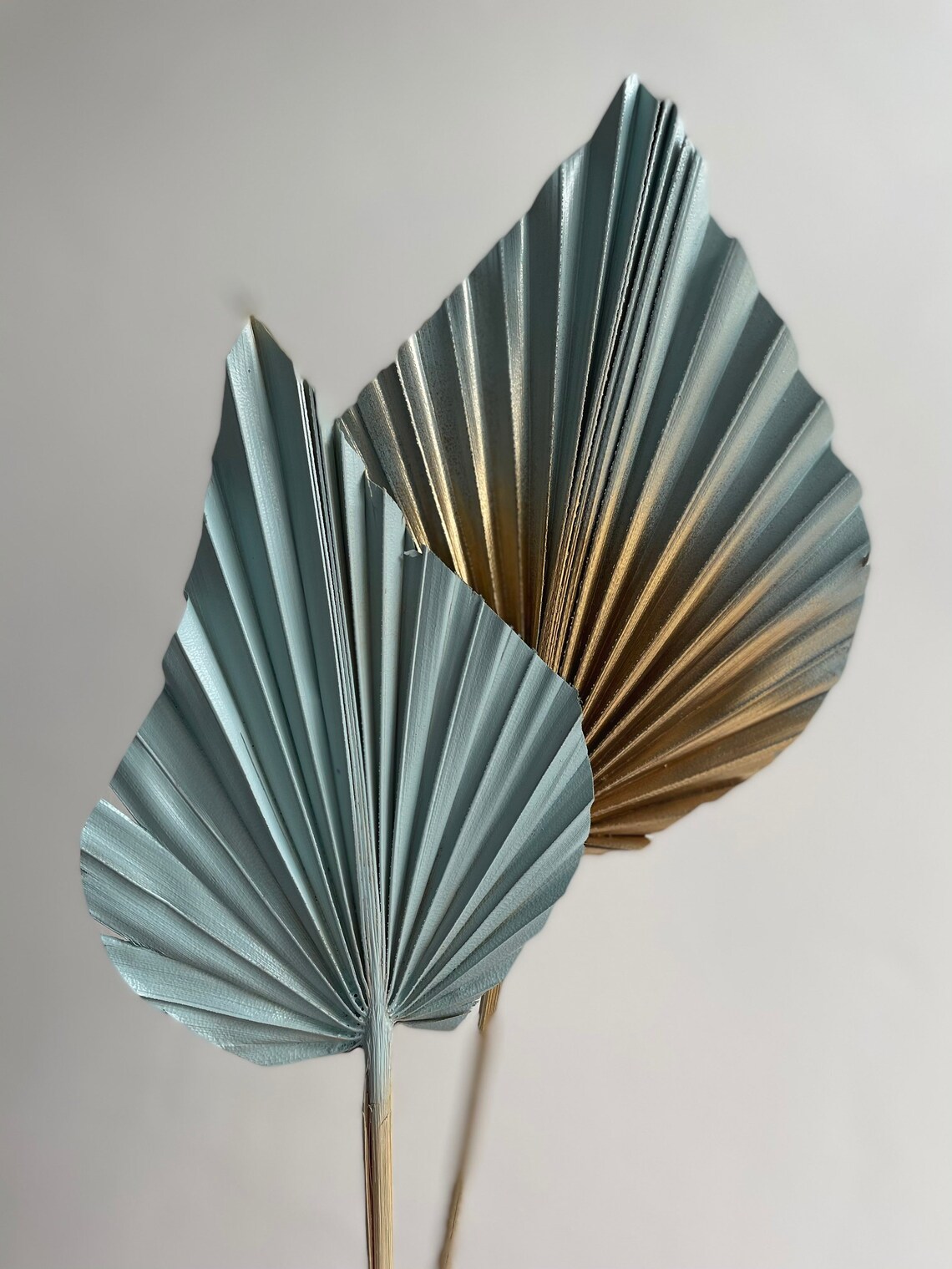 Duck egg blue with gold dried palm spearstwo palm leaf Duck egg blue with gold dried palm spearstwo palm leaf