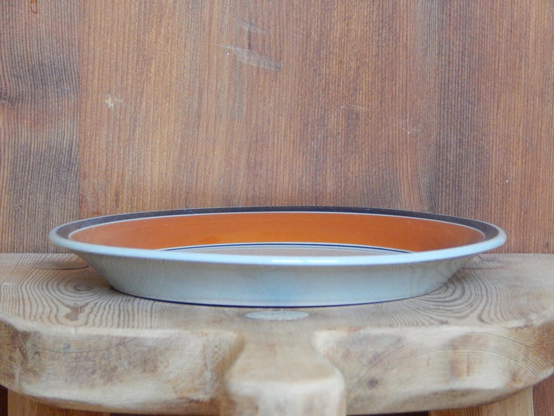 K&ouml;nnte beinhalten: Eine hellblaue Keramik-Servierplatte mit braunem und orangefarbenem Rand. Die Platte liegt auf einer Holzoberfl&auml;che.