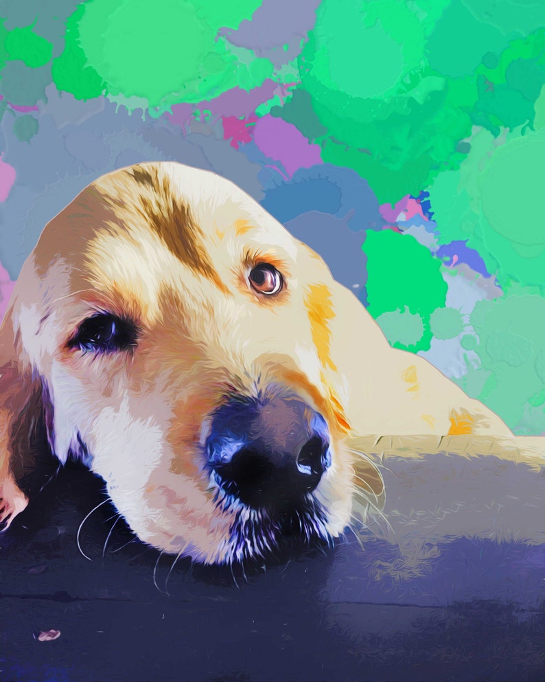 Custom pet portrait Pet loss gift Pet portrait artist Custom dog portraits custom oil painting custom pet portraits memorial gifts custom