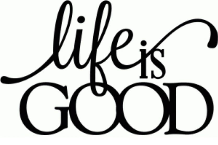 Life is good vinyl decal for cars walls tumblers cups Etsy