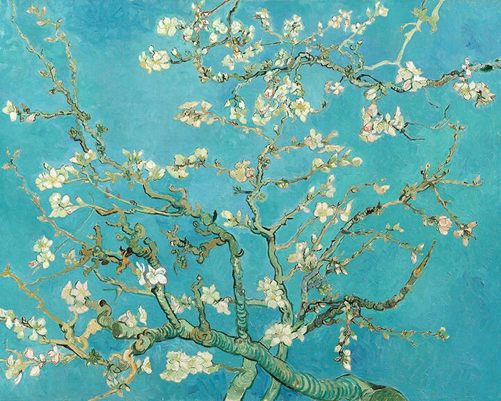 Van Gogh Almond Blossoms Famous Painting Home Decor Wall Art Poster Canvas Print