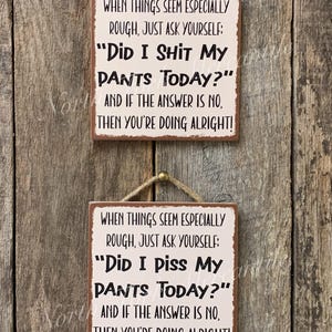 Did I Shit My Pants Today, Piss Pants, Funny Sign, Sarcastic Sign, Friend Gift, Funny Office, Gag Gift, Funny Decor, Motivational Gift