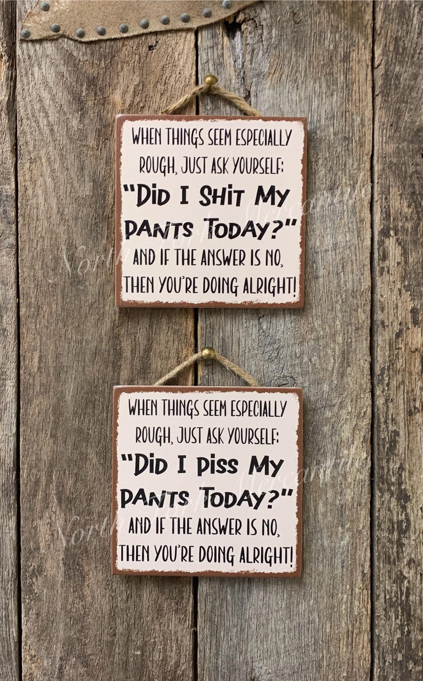 Did I Shit My Pants Today, Piss Pants, Funny Sign, Sarcastic Sign, Friend Gift, Funny Office, Gag Gift, Funny Decor, Motivational Gift