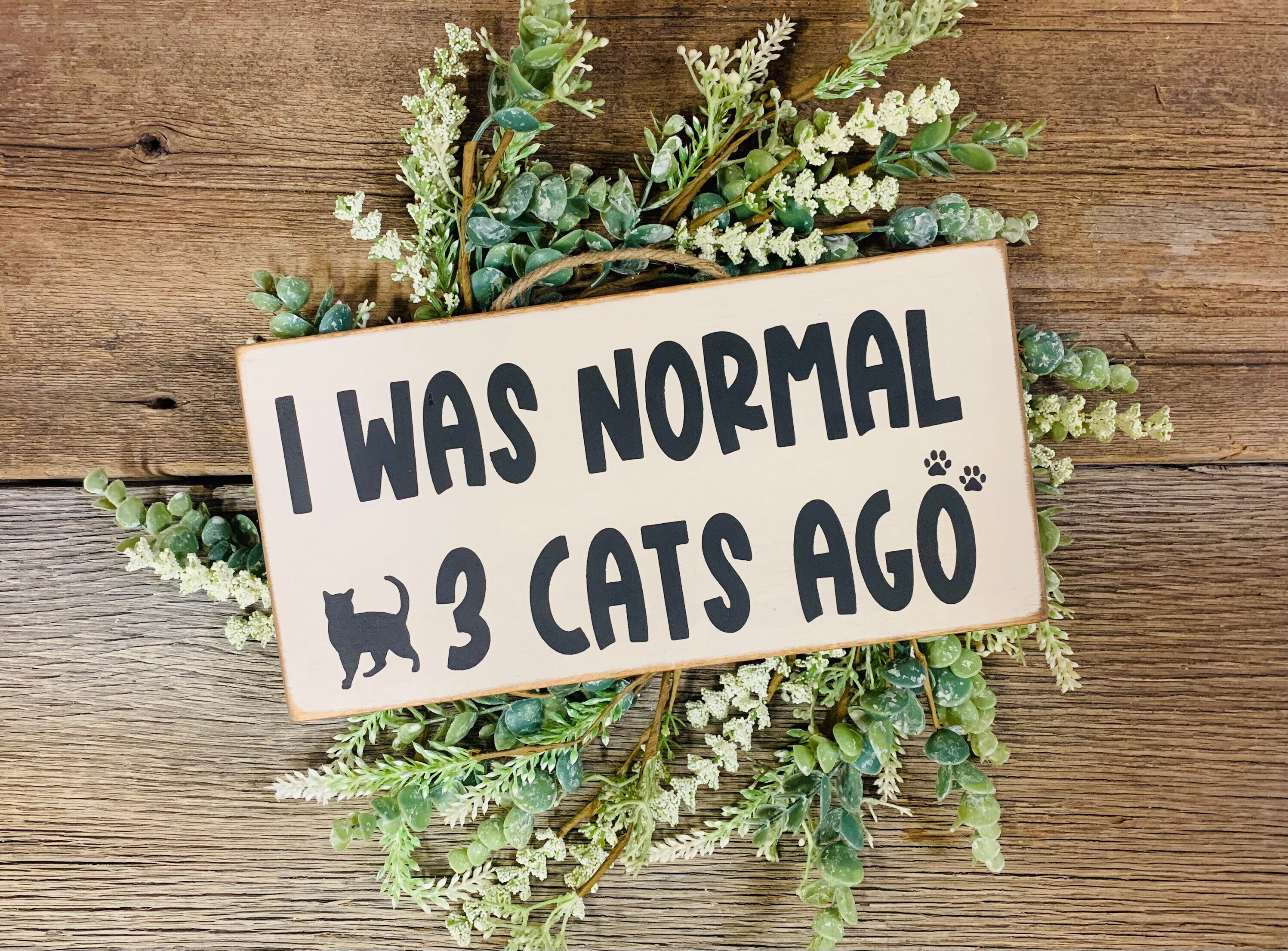 I Was Normal 3 Cats Ago Cat Lady Cat Gift Pet Owner Cat Owner