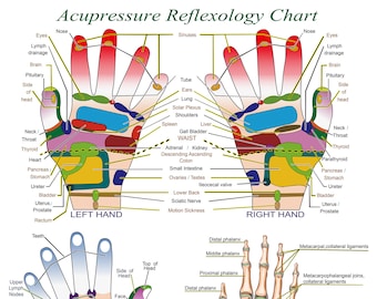 Acupressure Reflexology Chart With Precise Hand Diagrams. Professional Print.