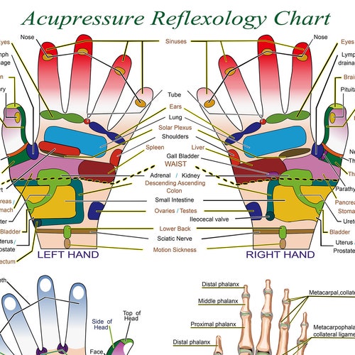 Acupressure Reflexology Chart With Precise Hand Diagrams. Professional Print.