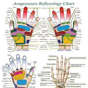 Acupressure Reflexology Chart With Precise Hand Diagrams. Professional Print.