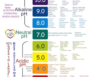 Food Chart Etsy