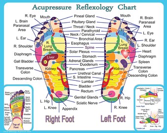 Reflexology Charts For Sale