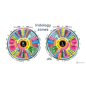 Iridologie-Zonen zur Bewertung der Gesundheit durch Lesen von Iris-Mustern in den Augen, professionelle Qualität Fotoposter, 10"X20"