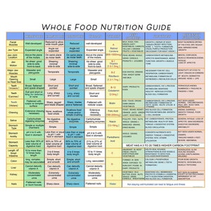 Whole Food Nutrition Guide, Professional Quality Print By Hearts For Love