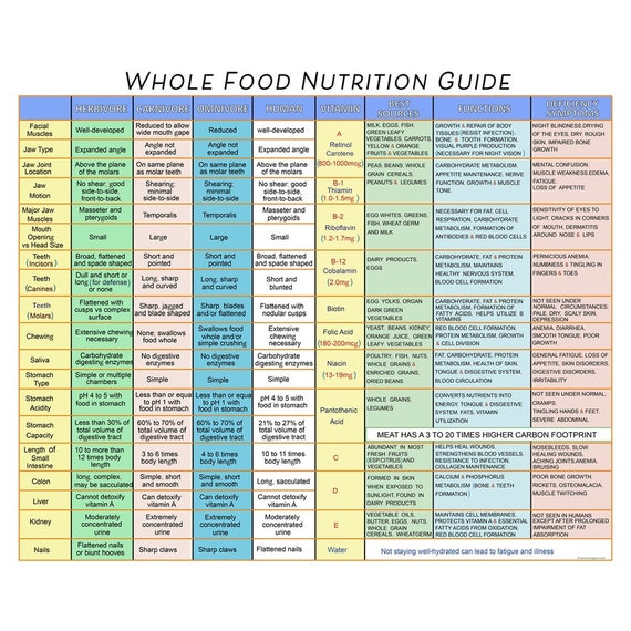 Whole Food Nutrition Guide Professional Quality Print by - Etsy