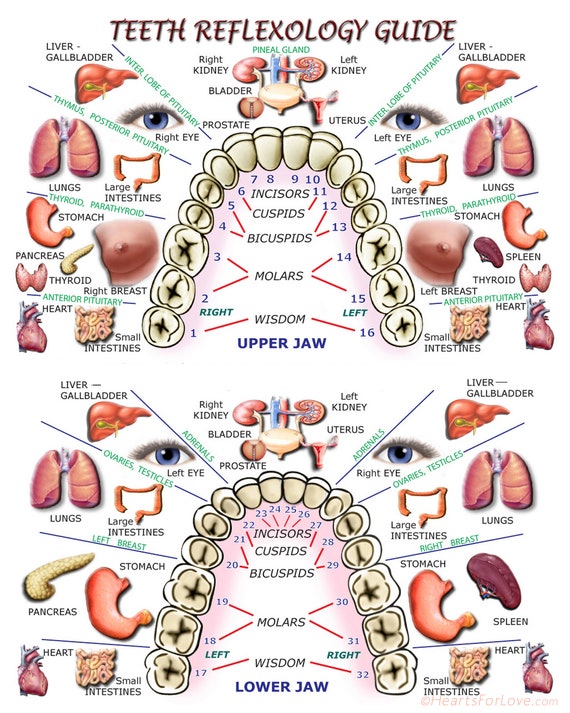 Referred Dental Chart