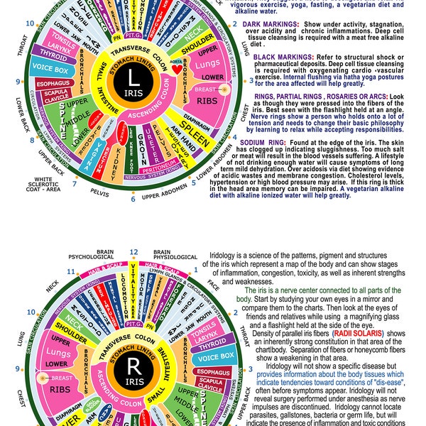 Iridology Zones For The Study Of Health By Reading Iris Patterns In The Eyes,  Professional Quality Photographic Print