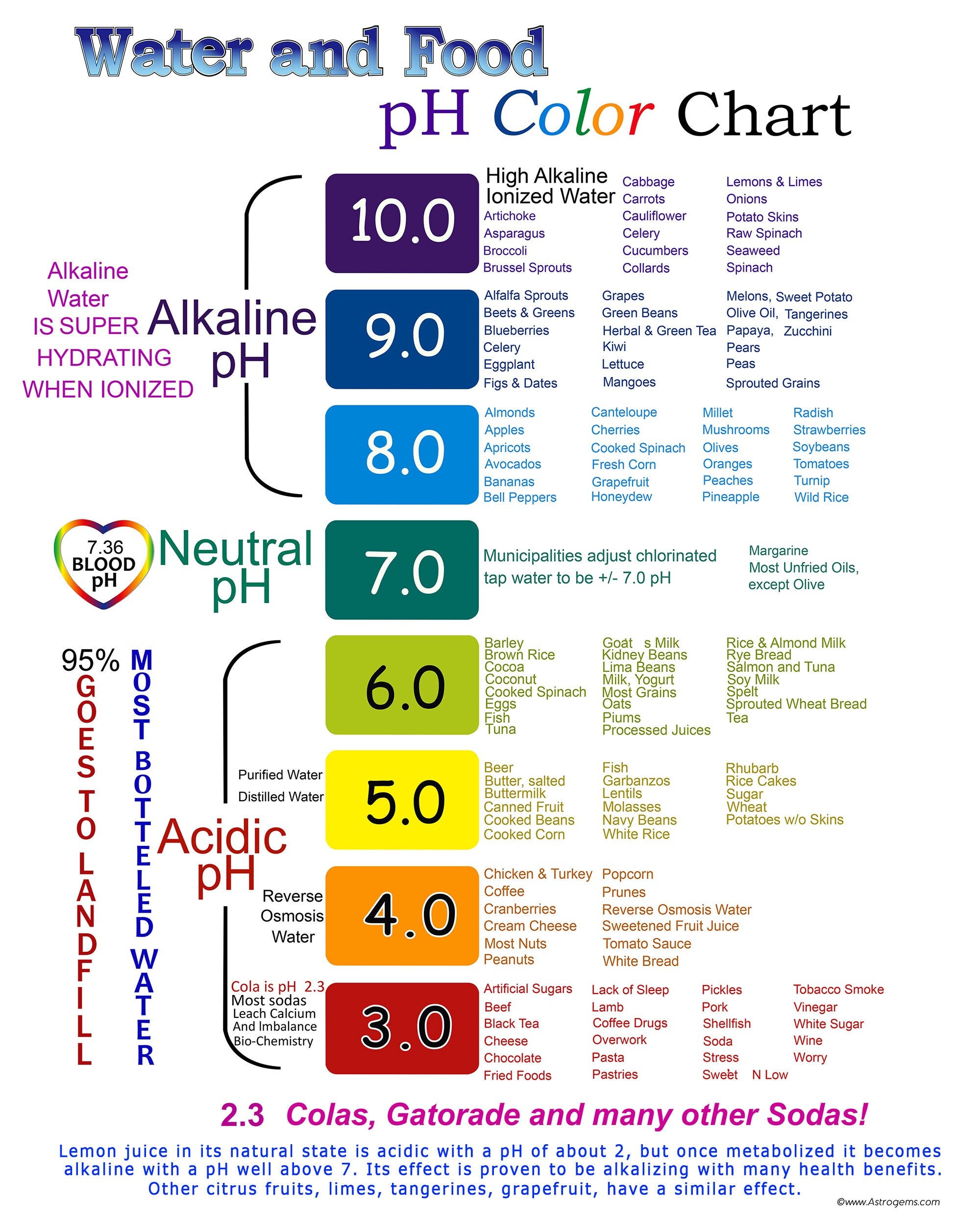 Water And Food Ph Color Chart Etsy