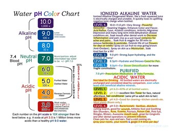 Alkaline Food Chart Etsy