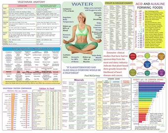 Alkaline Food Chart Etsy