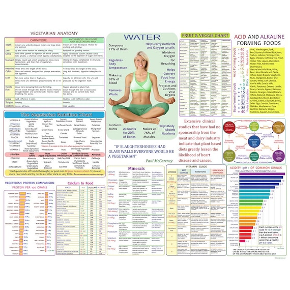 Printable Comparison Chart Of Endura Vs Sports Drinks Store www