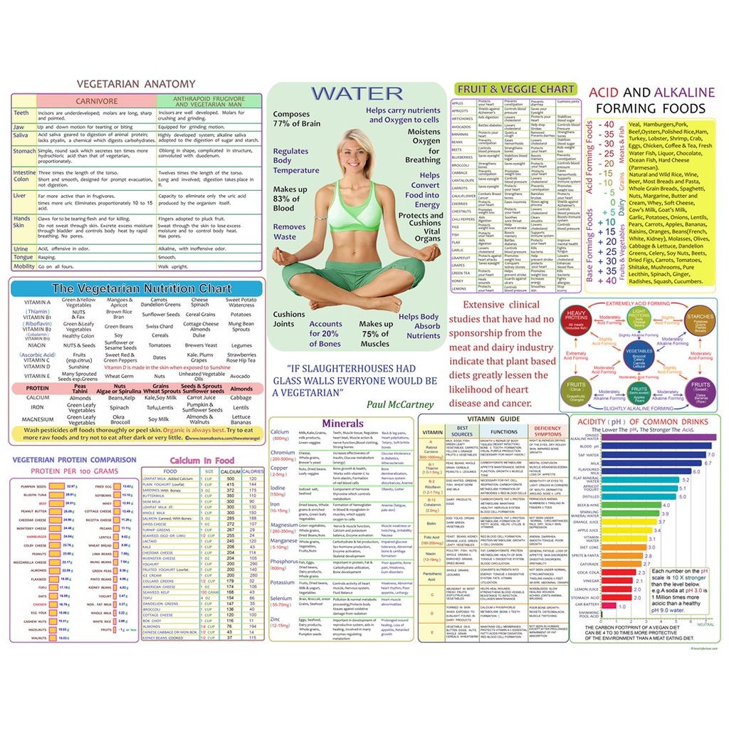 The Vegetarian Nutrition Chart Supporting Health Via Plant Etsy UK