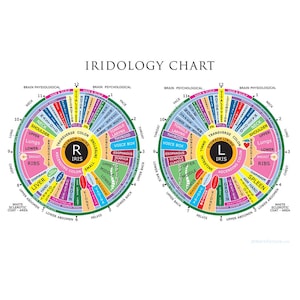 Gráfico de iridología, hasta 20 x 30 pulgadas. Impresión de calidad profesional.