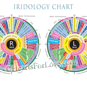 Tableau d'iridologie, carte d'iridologie de la pupille. Jusqu'à 20 x 30 pouces. Impression de qualité professionnelle