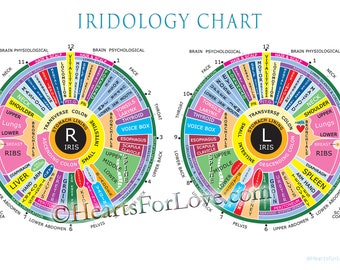 Iridology Chart, Iridology Map Of The Eye Pupil. Up To 20 X 30 Inches. Professional Quality Print